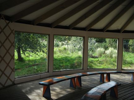 cheetah viewing area