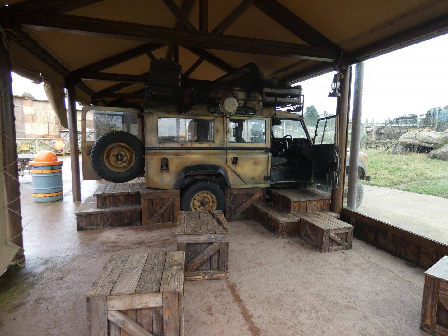 Cheetah viewing area