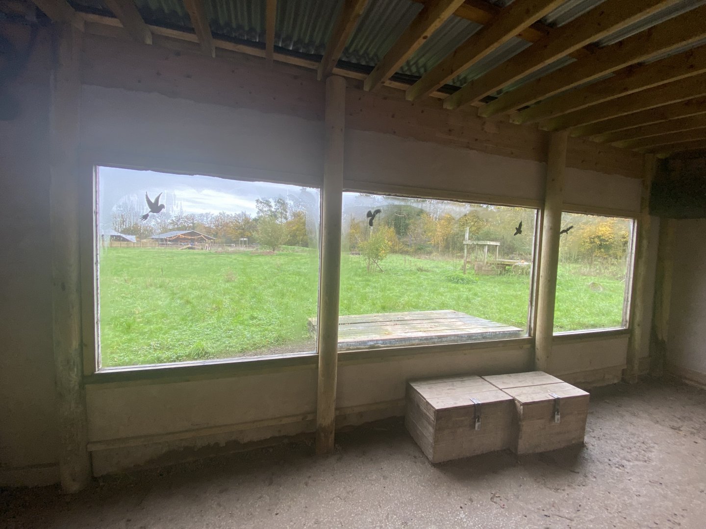 Cheetah viewing area