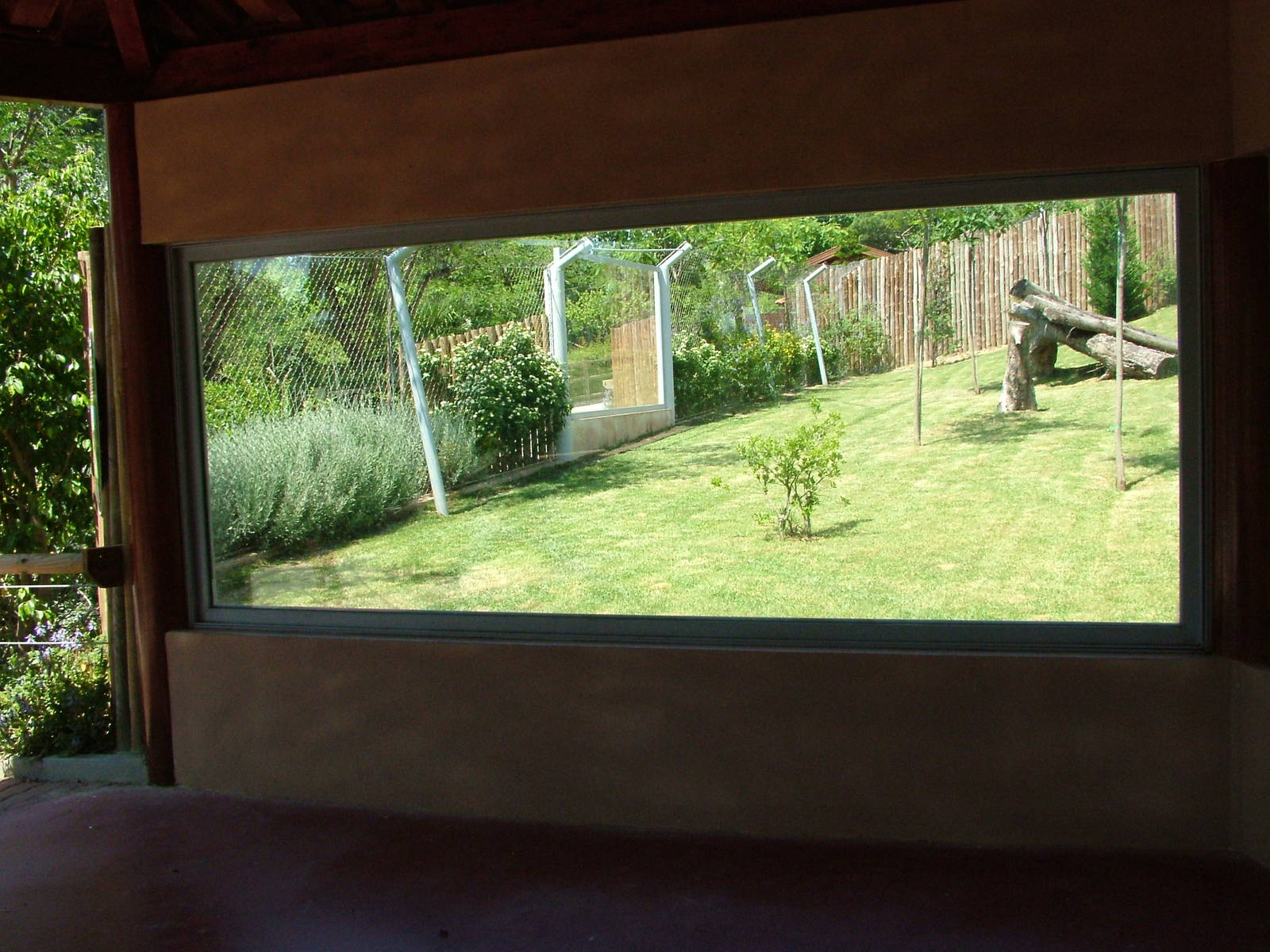 Cheetah Viewing at Lisbon Zoo, 24/05/11