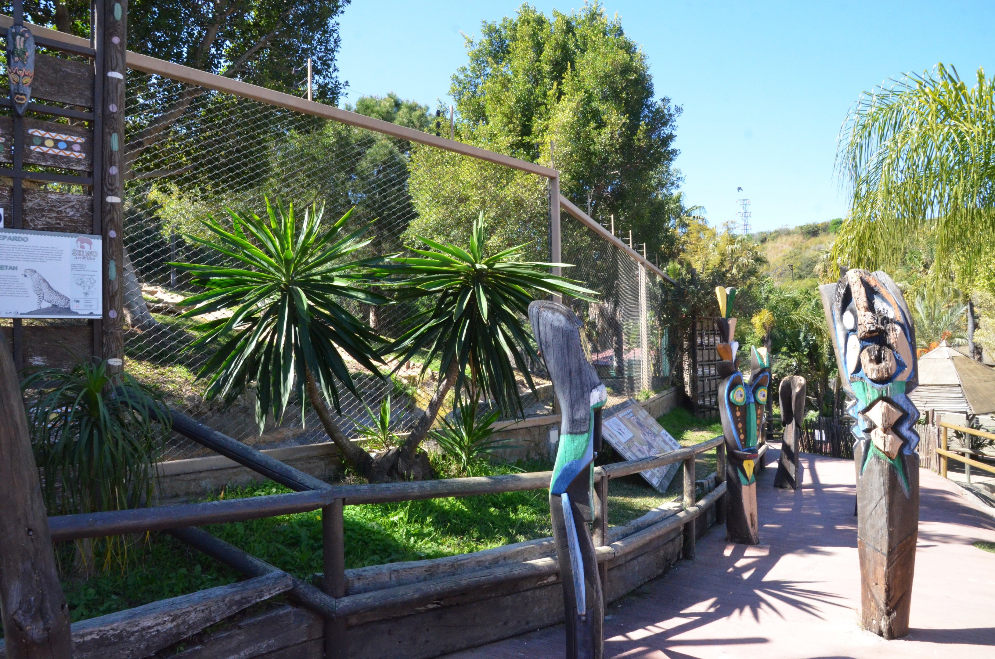 Cheetah Viewing at Selwo Aventura, 13/03/19