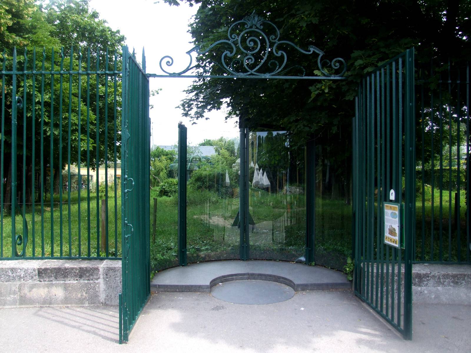 Cheetah Viewing at Vienna, 16/06/13