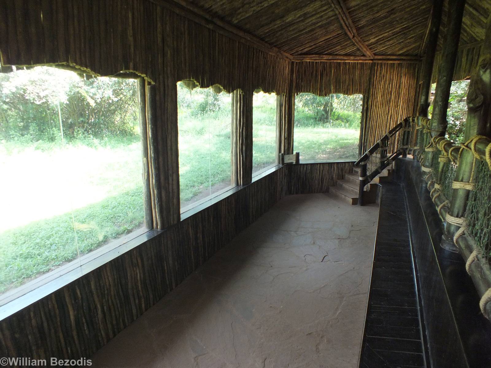 Cheetah Viewing - Nairobi Safari Walk