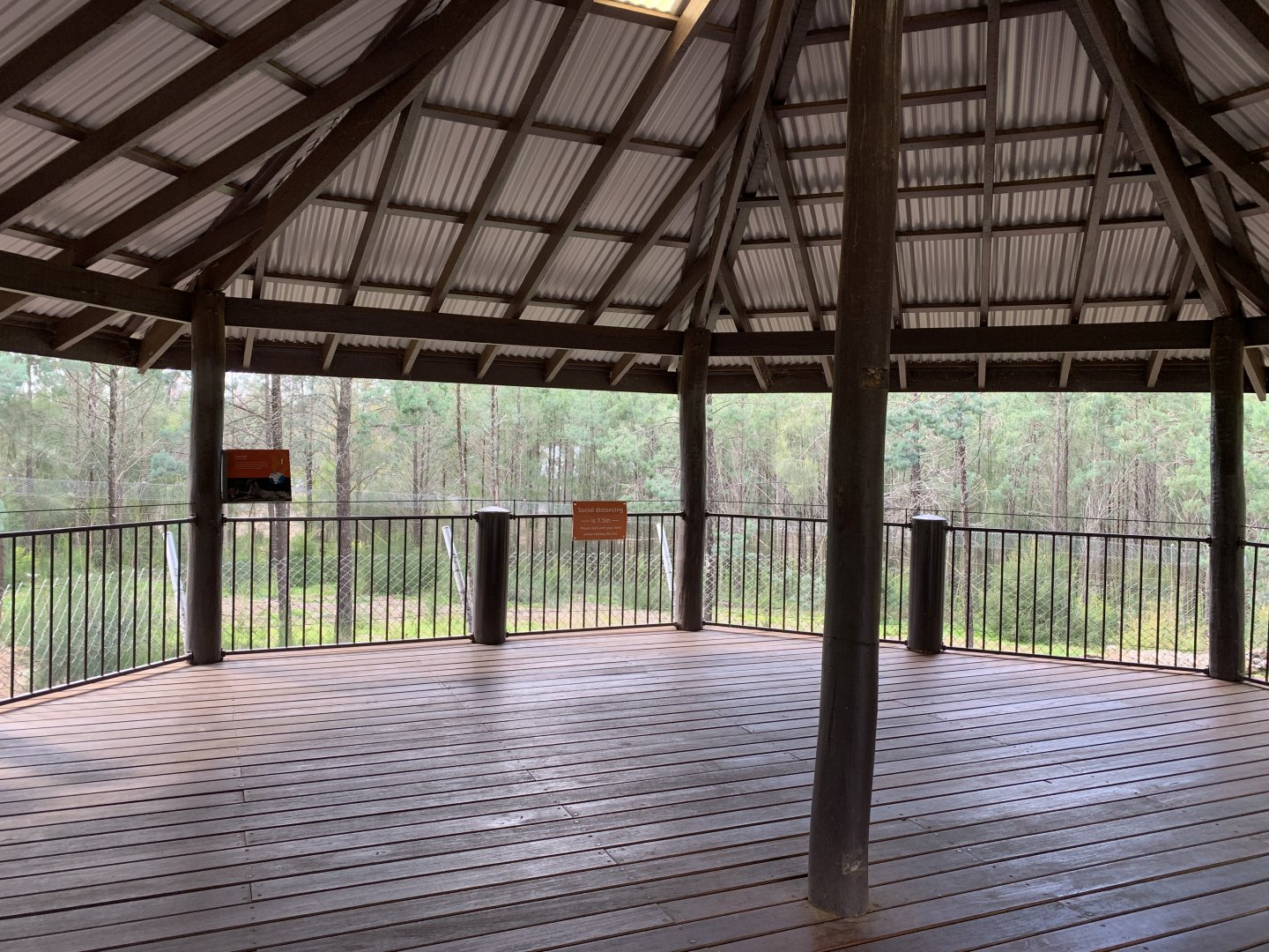 Cheetah Viewing Platform