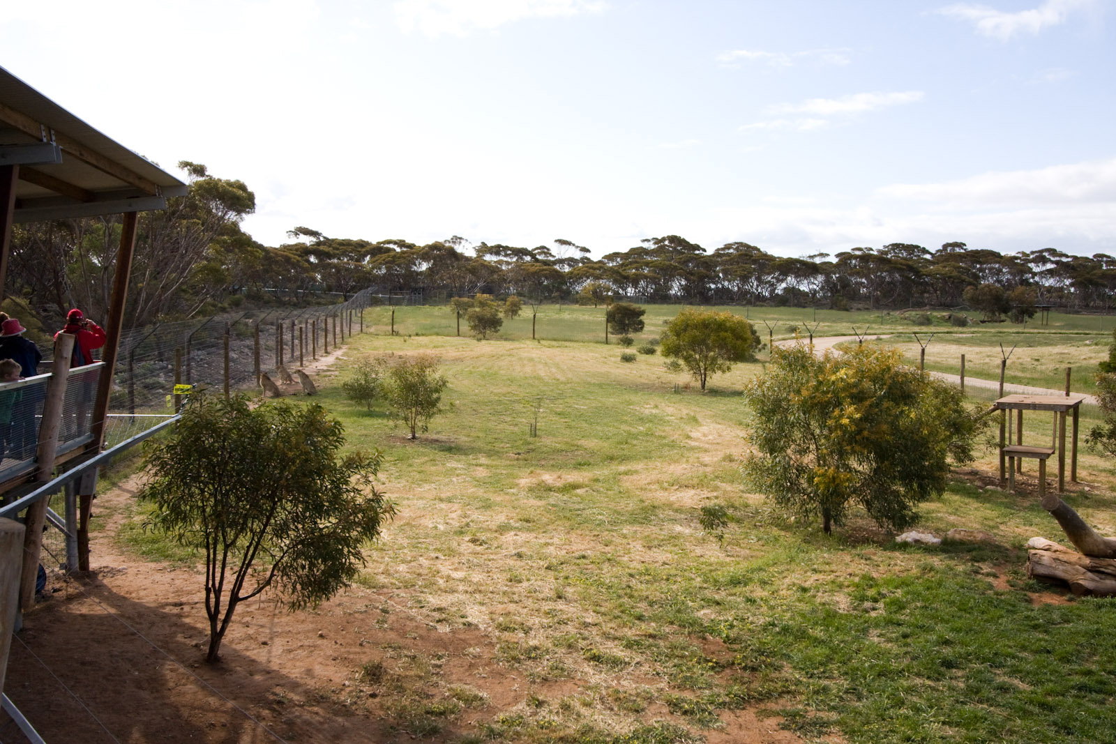 Cheetahs and viewing platform - Sep 2008