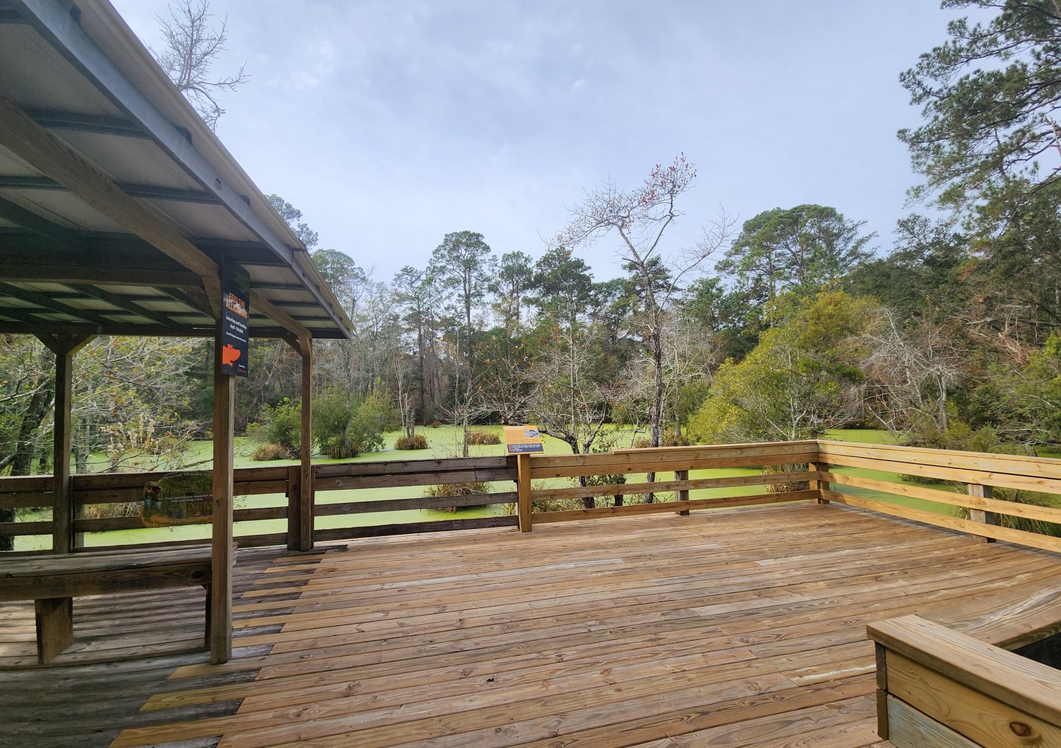 Chehaw Zoo - Alligator viewing deck