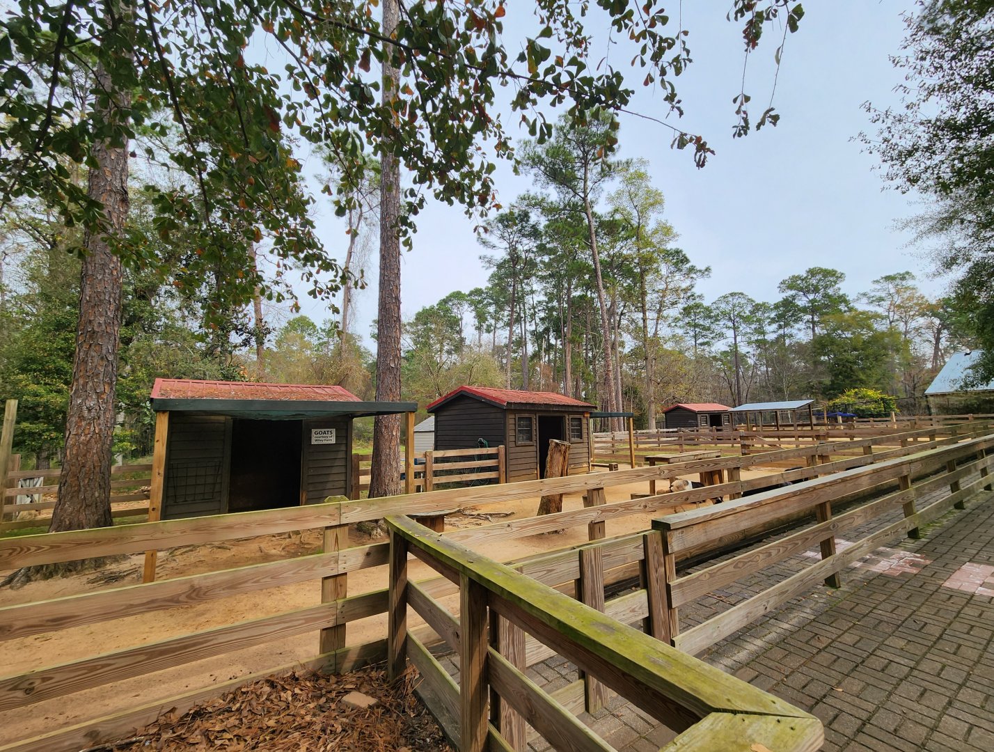 Chehaw Zoo - Domestic hoofstock exhibits