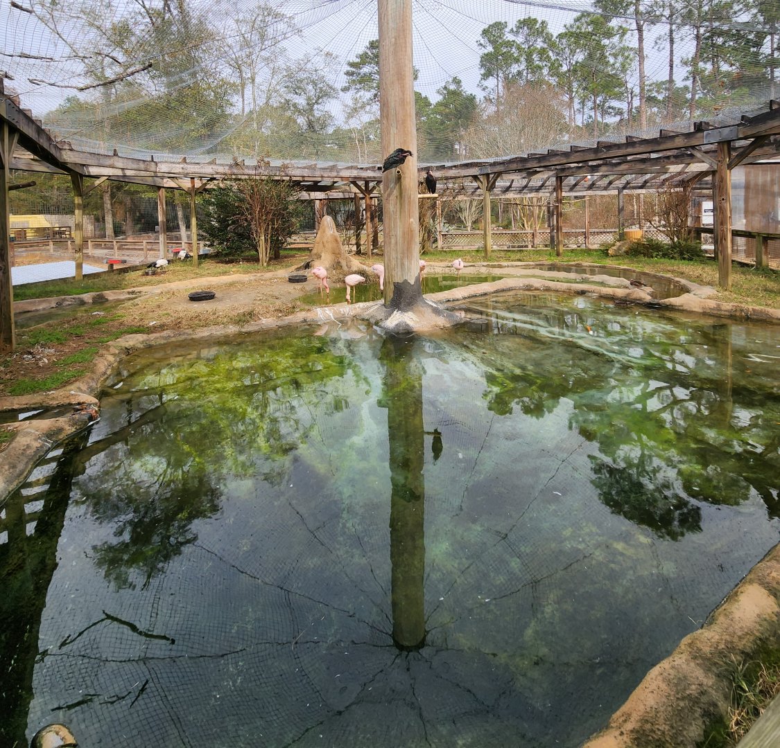 Chehaw Zoo - Inside aviary