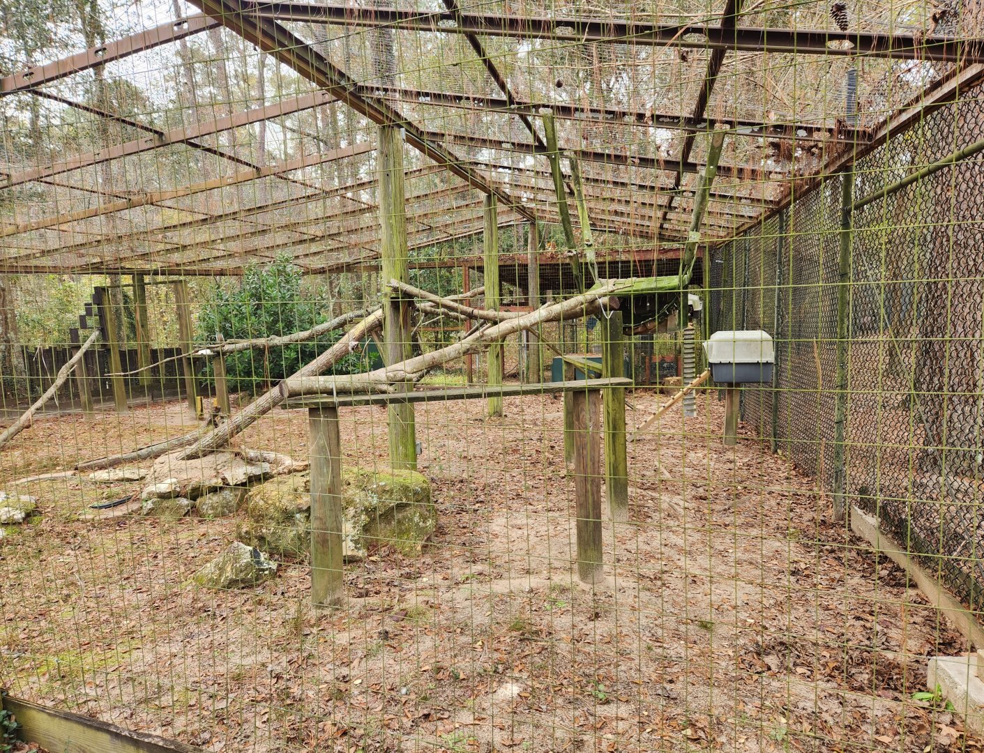 Chehaw Zoo - Northern Coati enclosure