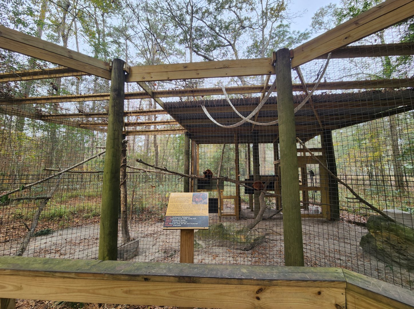 Chehaw Zoo - Red Ruffed Lemur enclosure