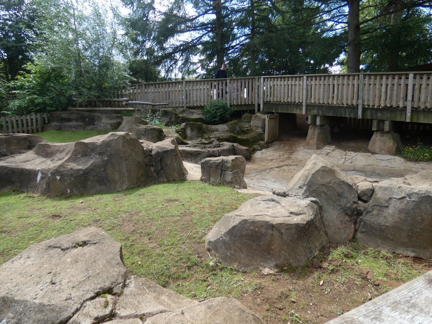 Chelonia Pathways (Aldabra Giant Tortoise enclosure)