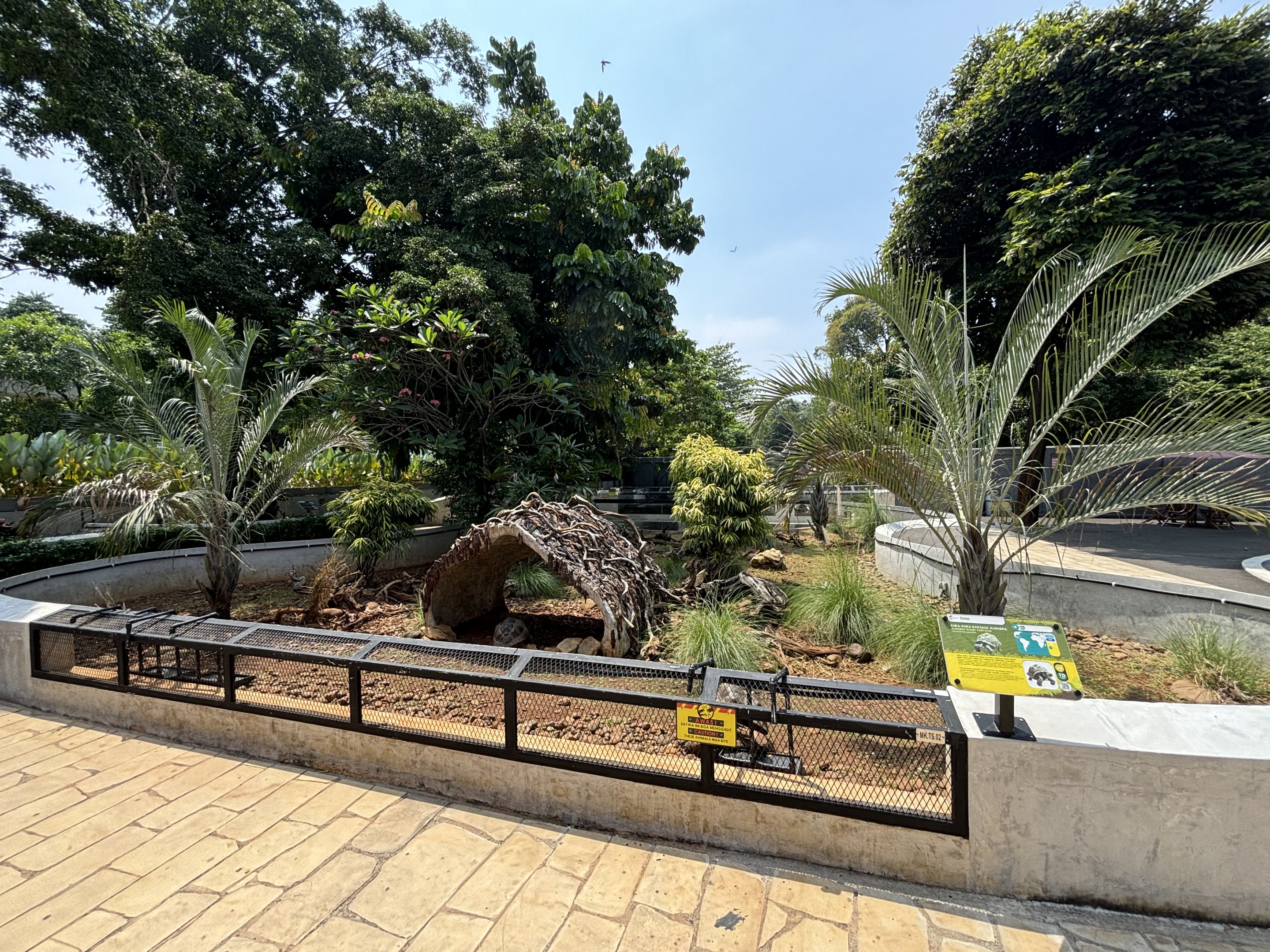 Chelonian Exhibit (3 species)