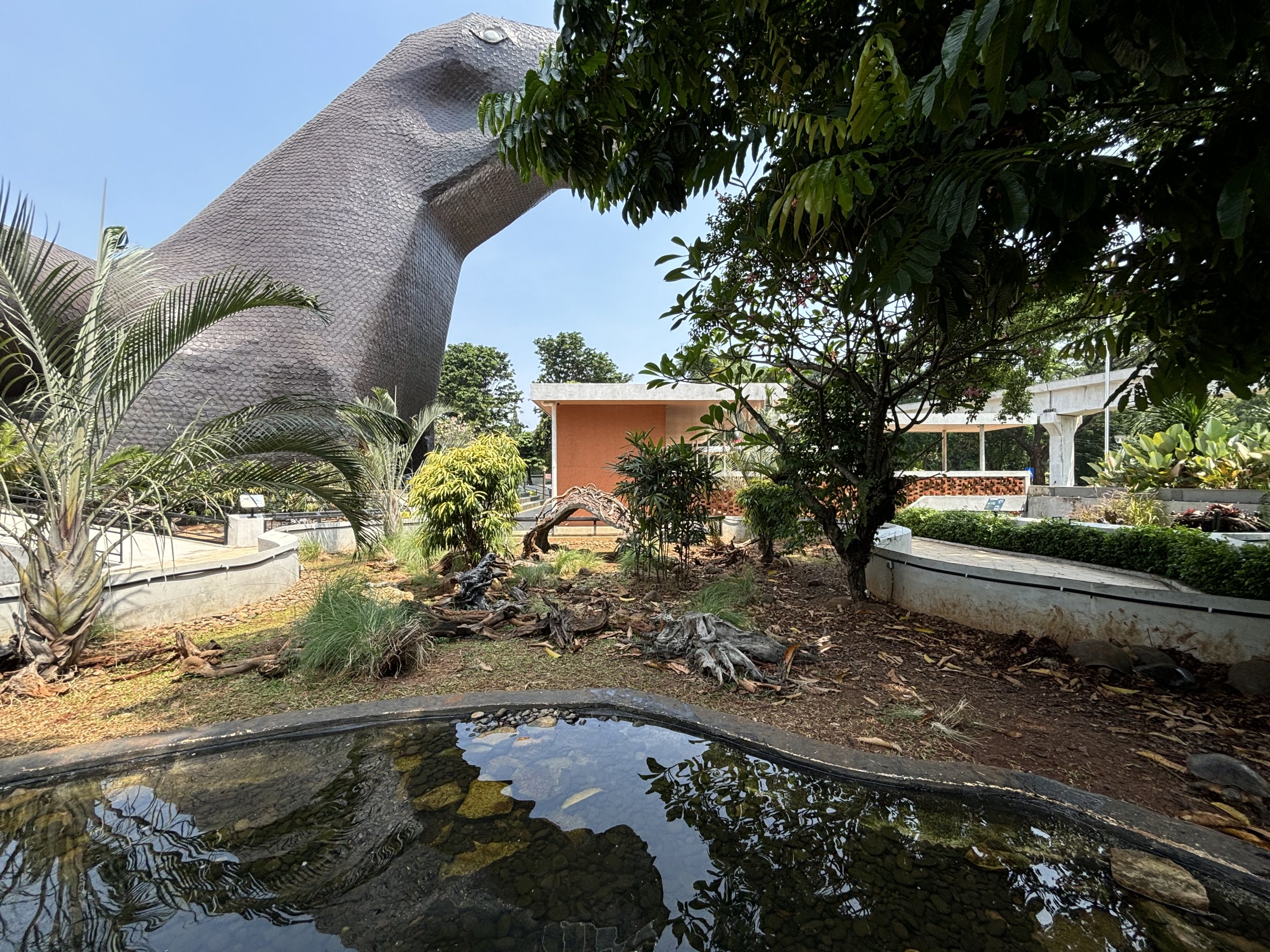 Chelonian Exhibit (3 species)