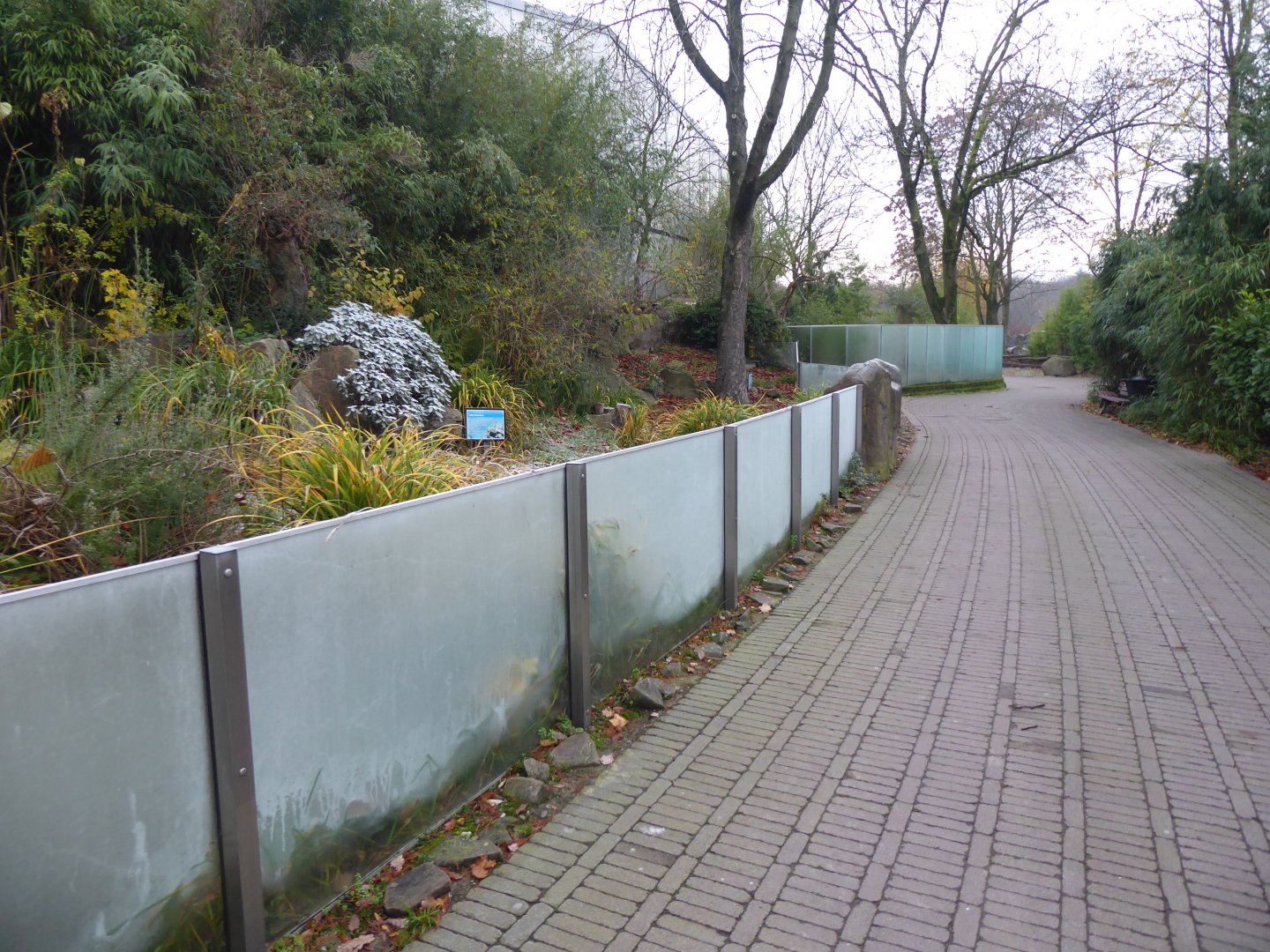 Chelonian exhibits outside Rio Negro 011219