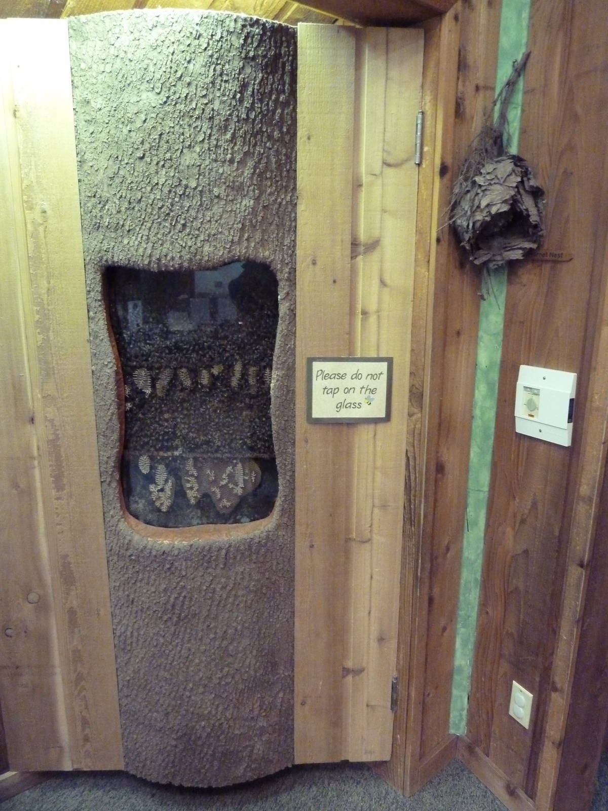 Cheney Family Discovery Center - Bee Exhibit