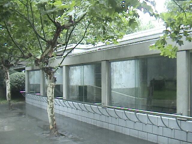Chengdu Zoo 2006