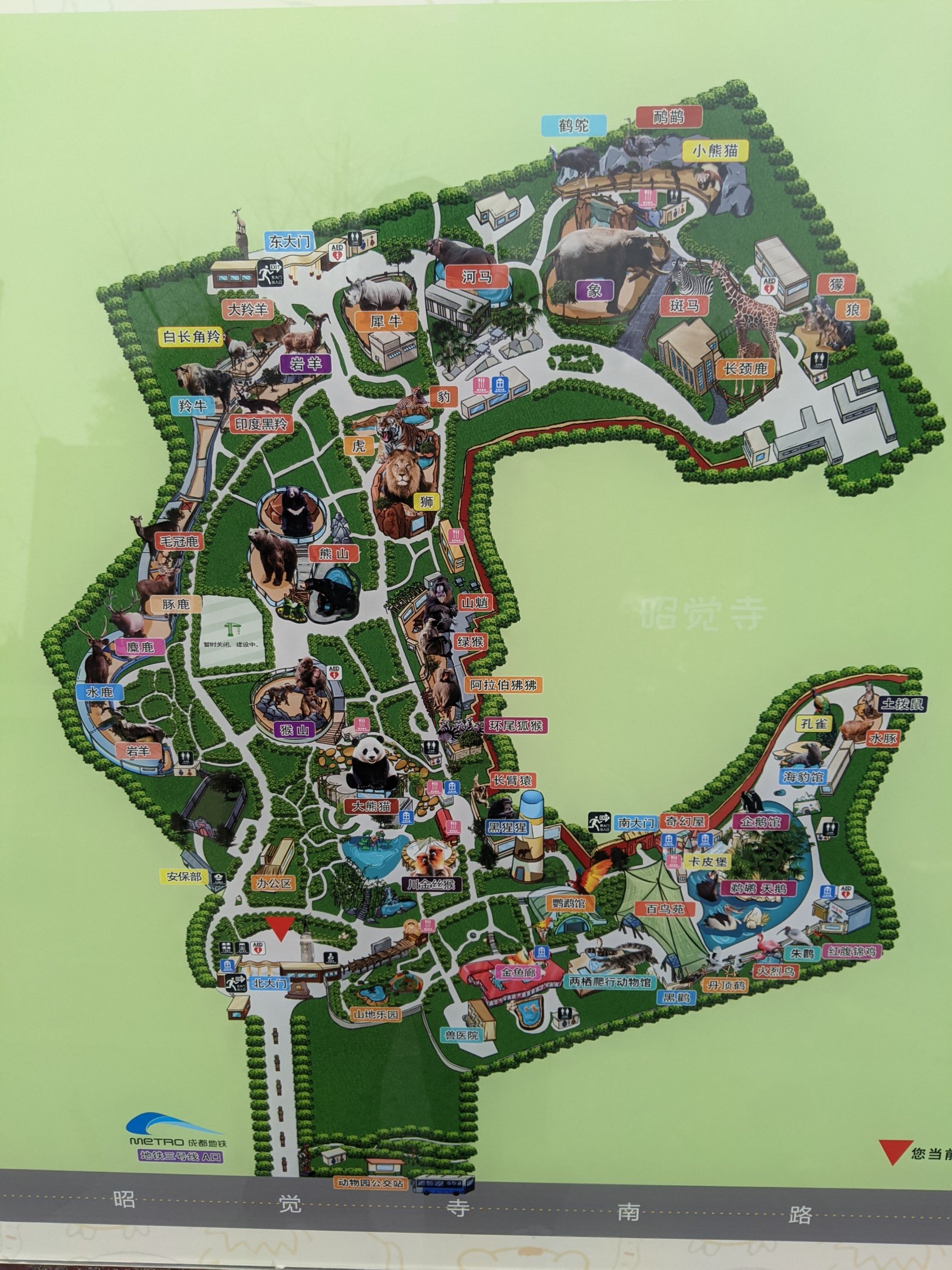 Chengdu Zoo map-board