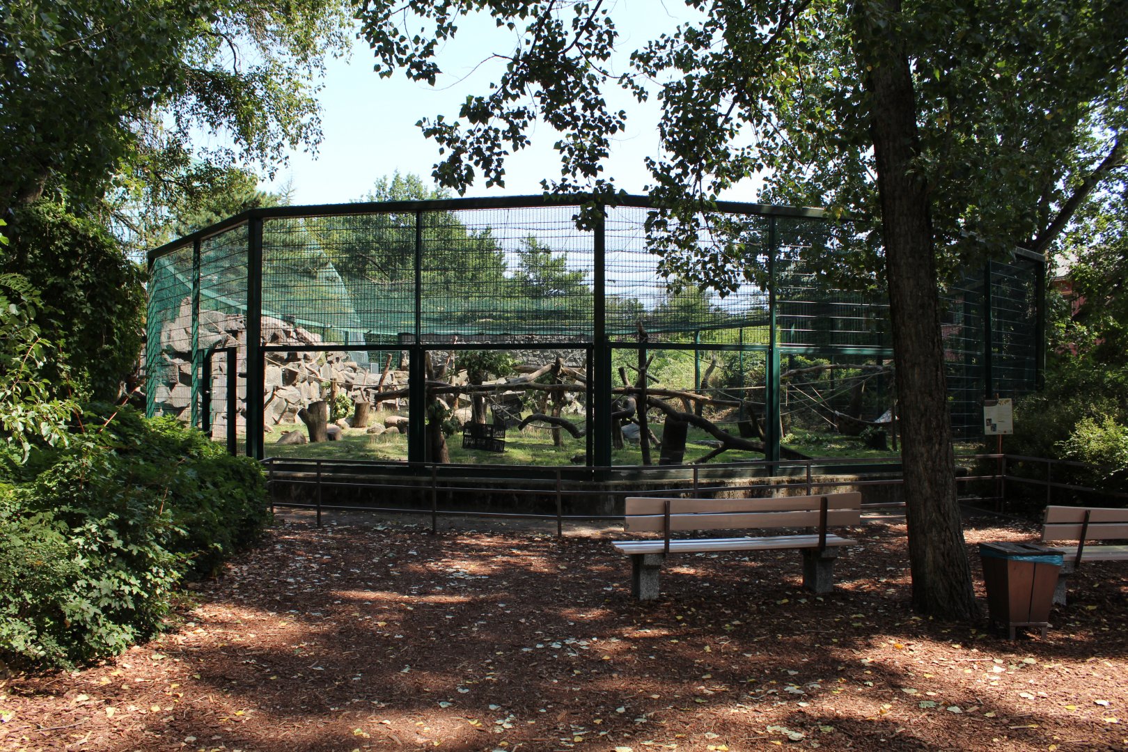 Cherry-crowned Mangabey Enclosure - July 2019