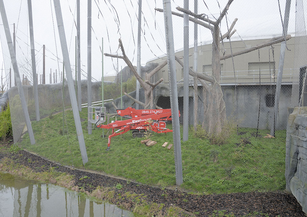 Cherrypicker in the wired orang exhibit