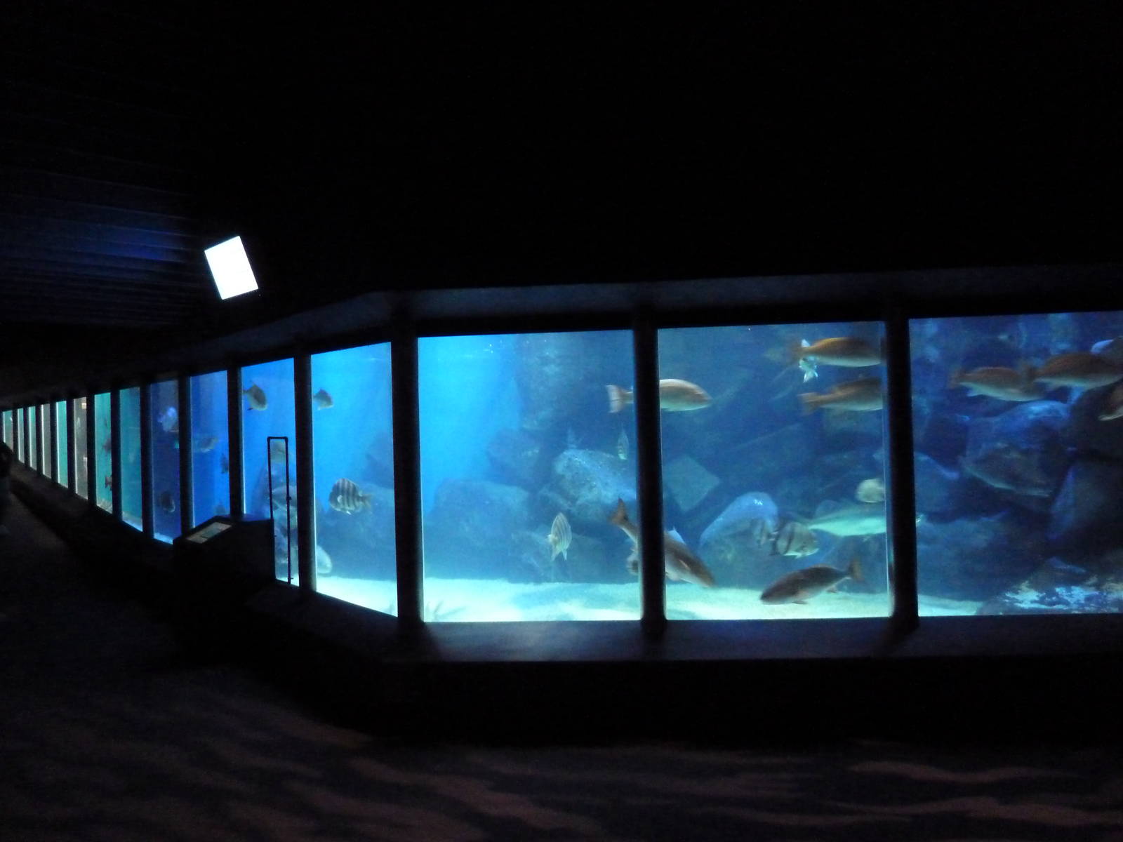 Chesapeake Bay Exhibit