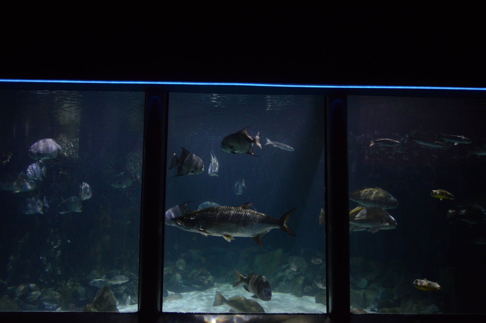 Chesapeake Bay - Overview