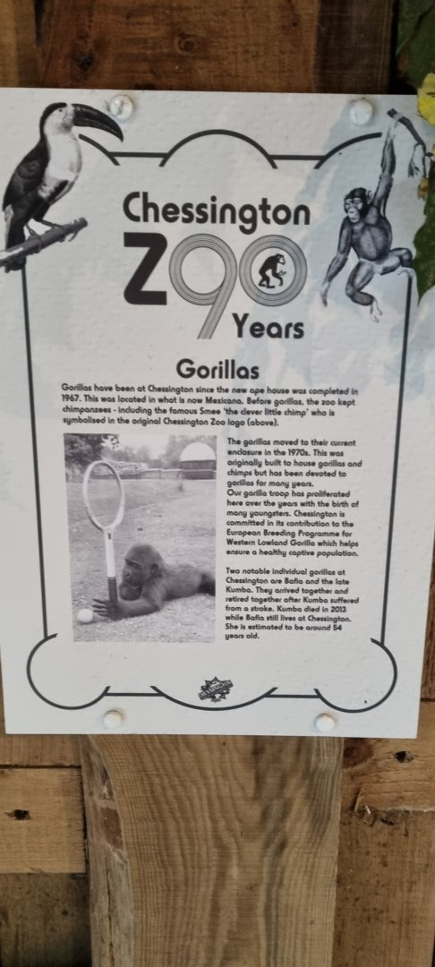 Chessington zoo history 90 years