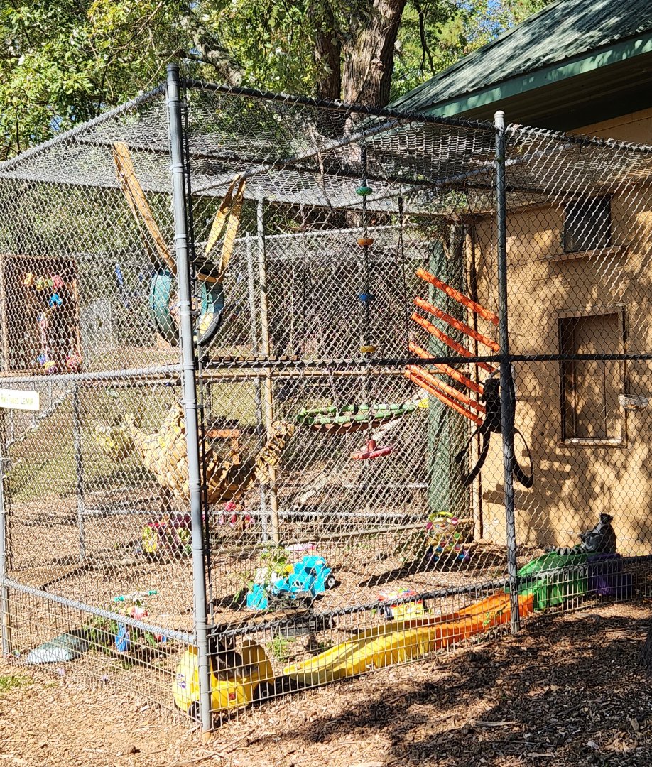 Chestatee Zoo - Primate cage example