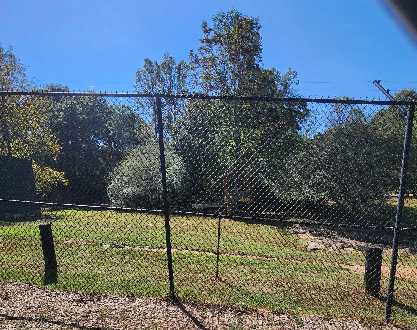 Chestatee Zoo - Tiger exhibit