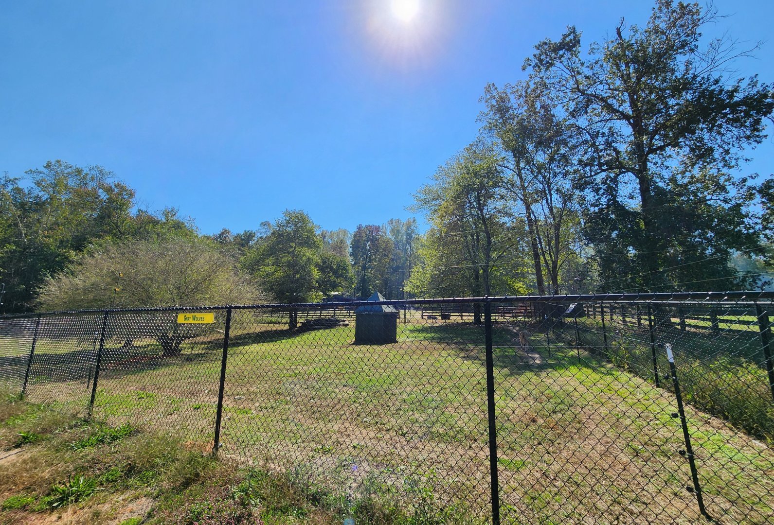 Chestatee Zoo - Wolf exhibit