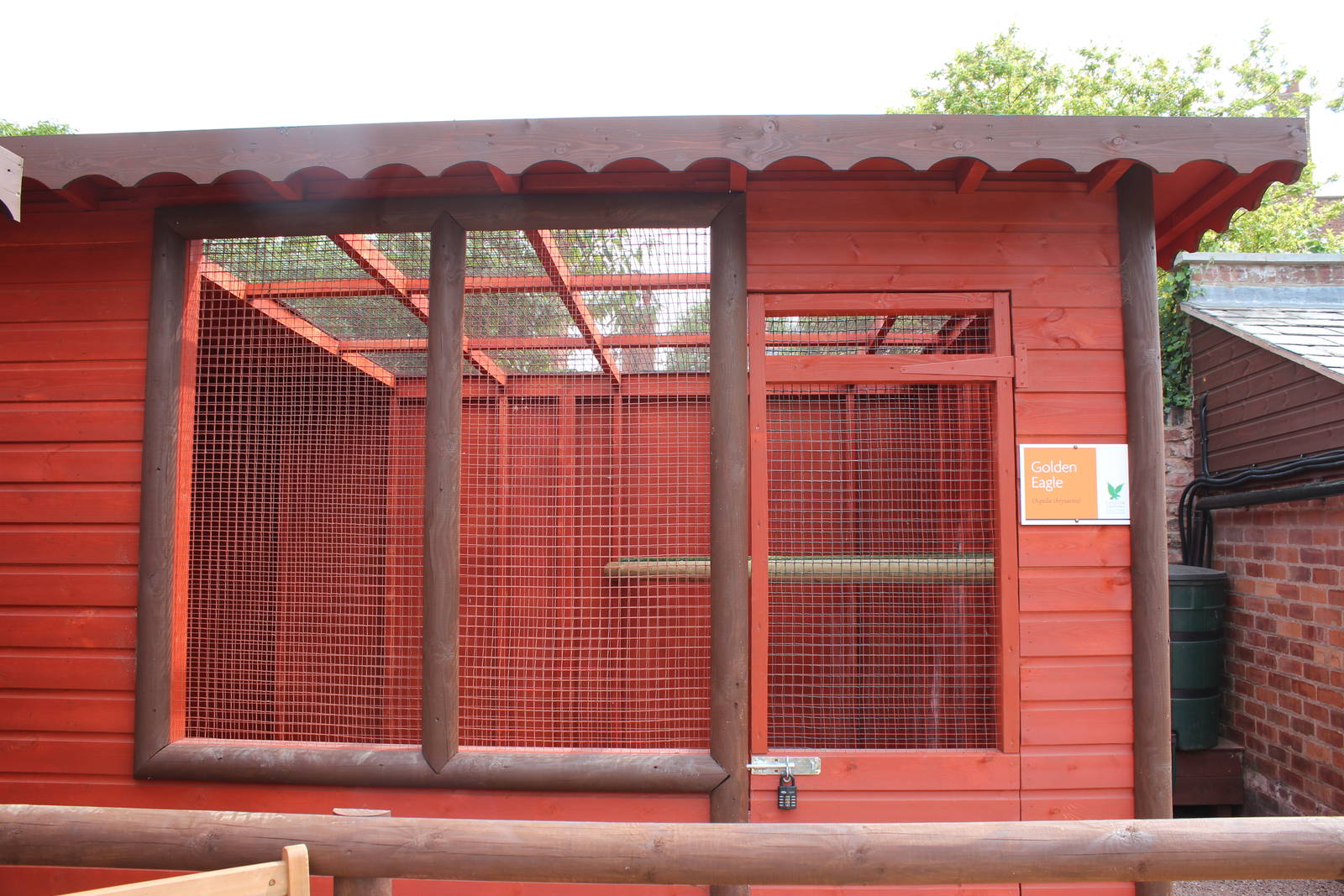 Chester Cathedral Falconry - Golden Eagle Aviary