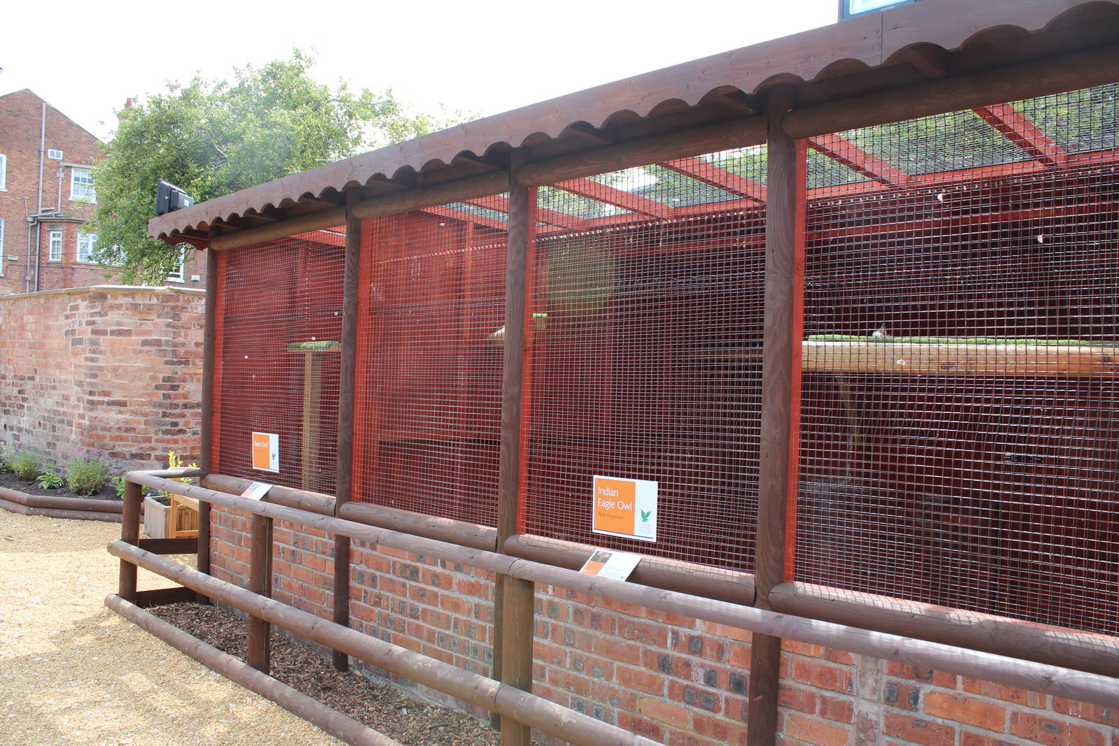 Chester Catherdral Falconry - Aviary's