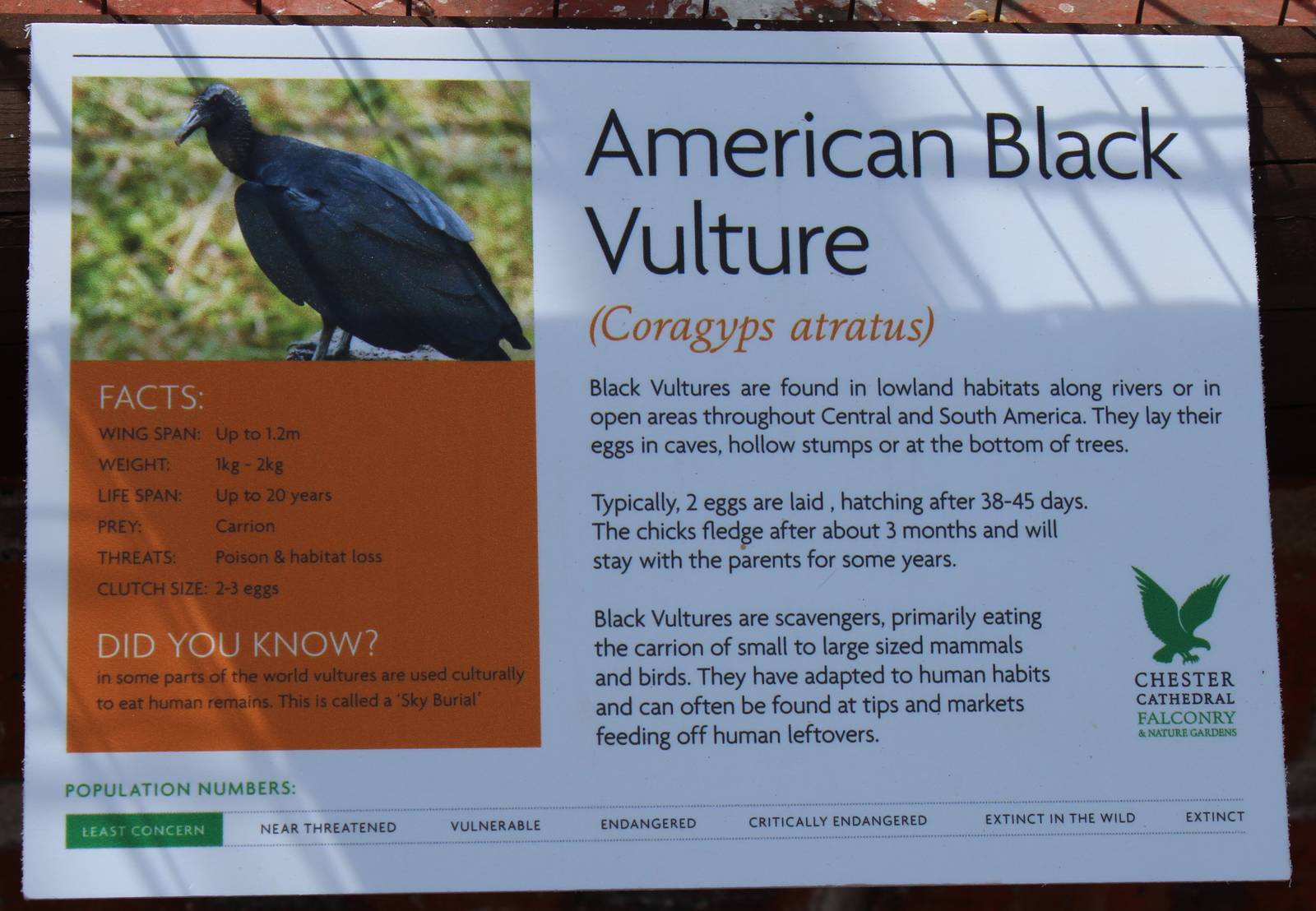 Chester Catherdral Falconry - Signage example