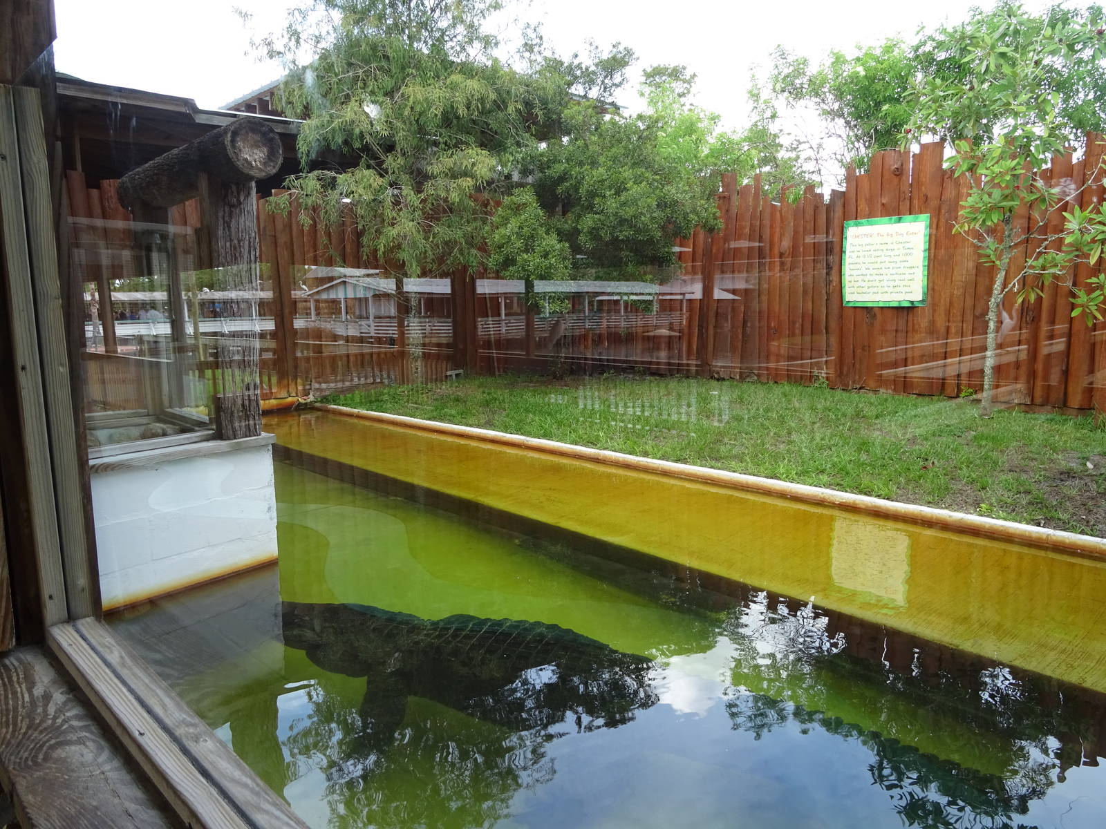 Chester the Dog Eater's Exhibit at Gatorland
