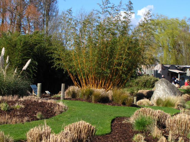 Chester Zoo 18 March 2012