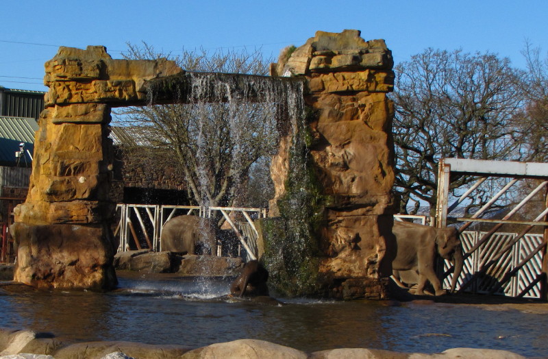 Chester Zoo 18 March 2012