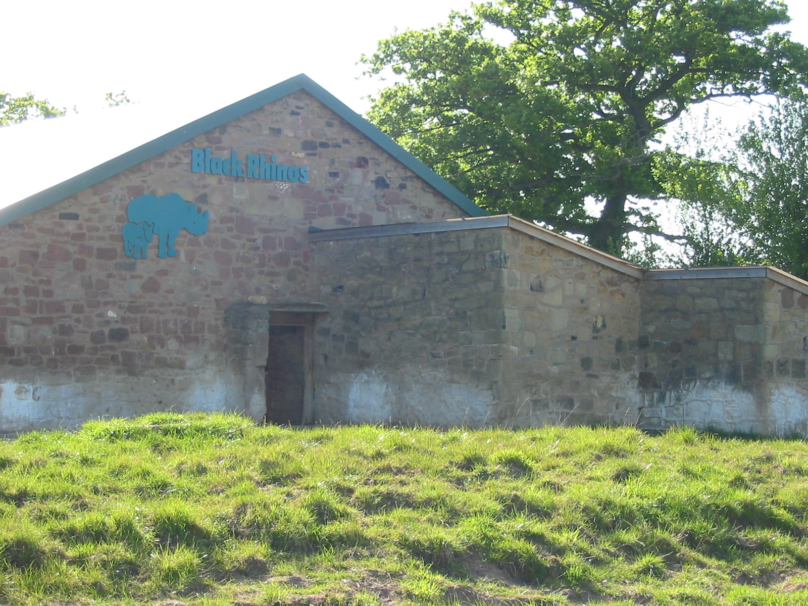Chester Zoo 2003 - Black Rhinoceros exhibit