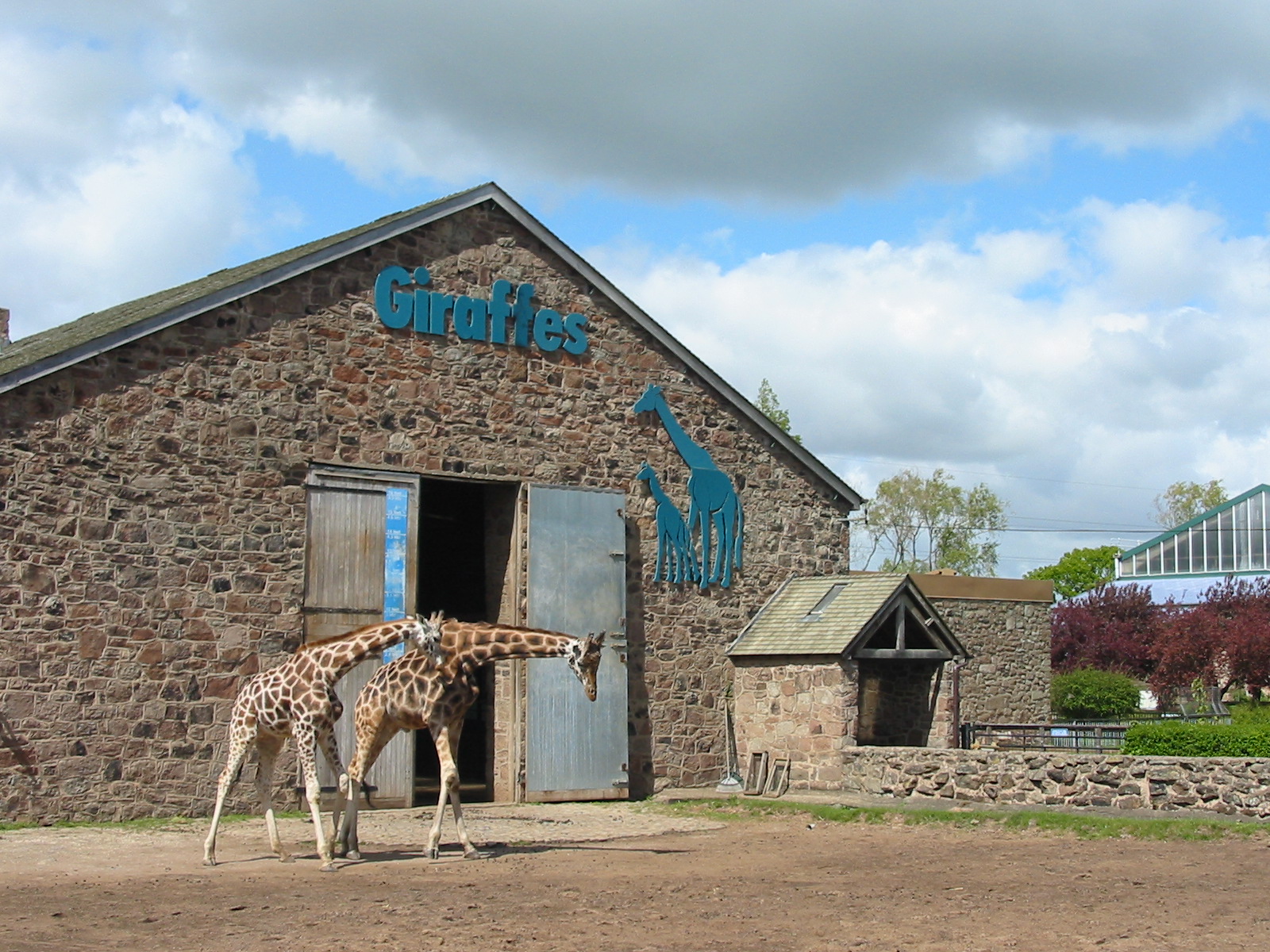 Chester Zoo 2003 - Giraffe House