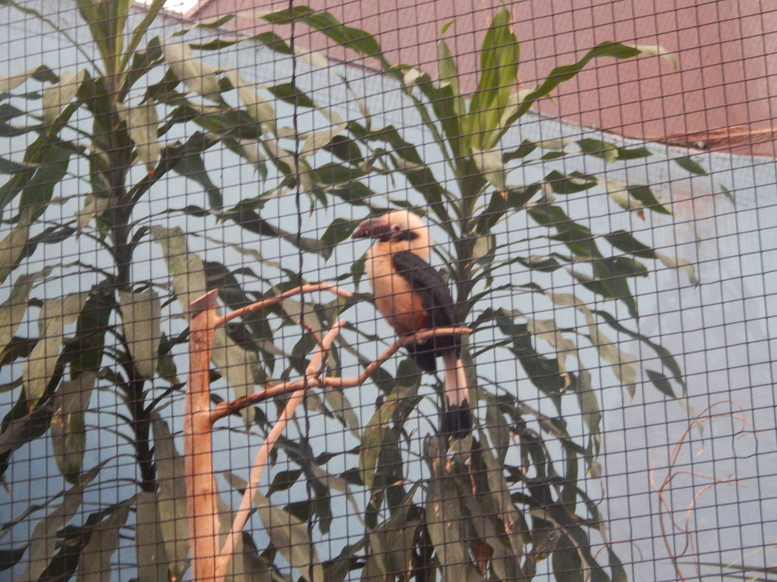 Chester zoo 28.05.2014