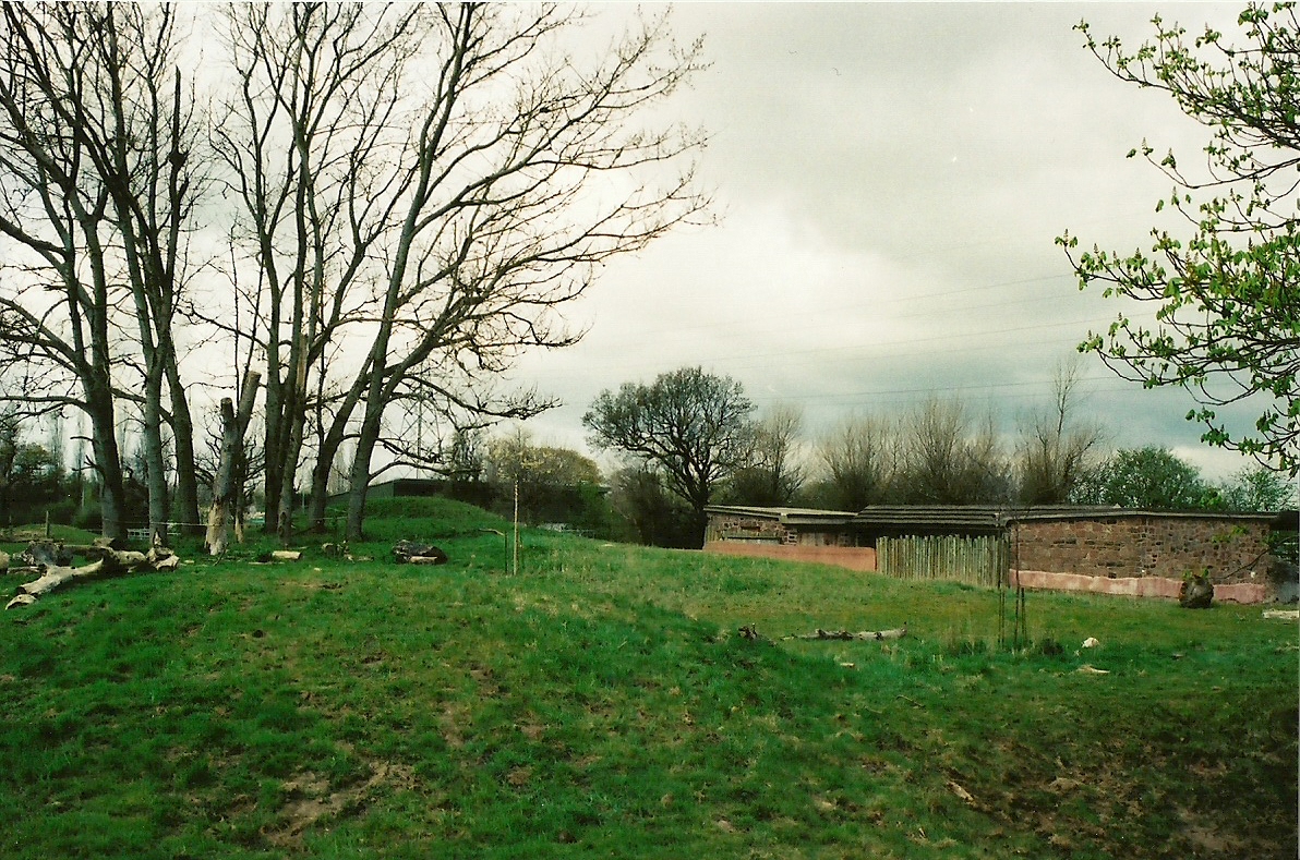 Chester Zoo - April 2005