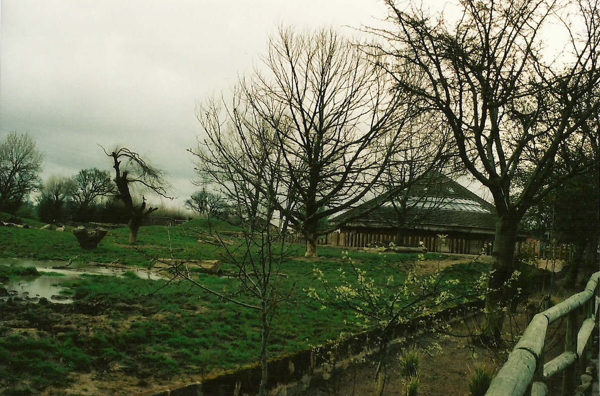 Chester Zoo - April 2005