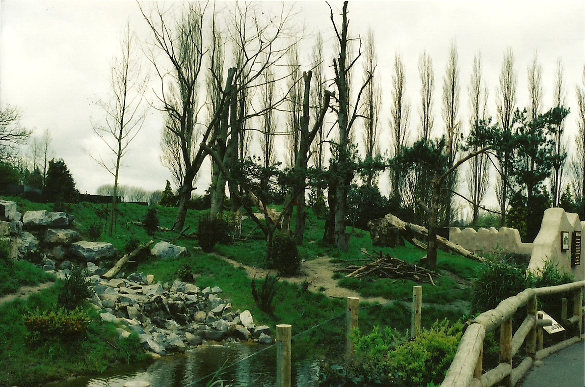 Chester Zoo - April 2005