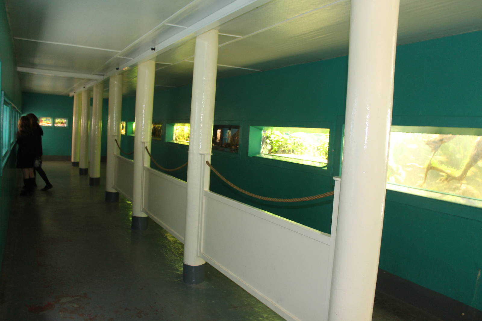 Chester Zoo aquarium