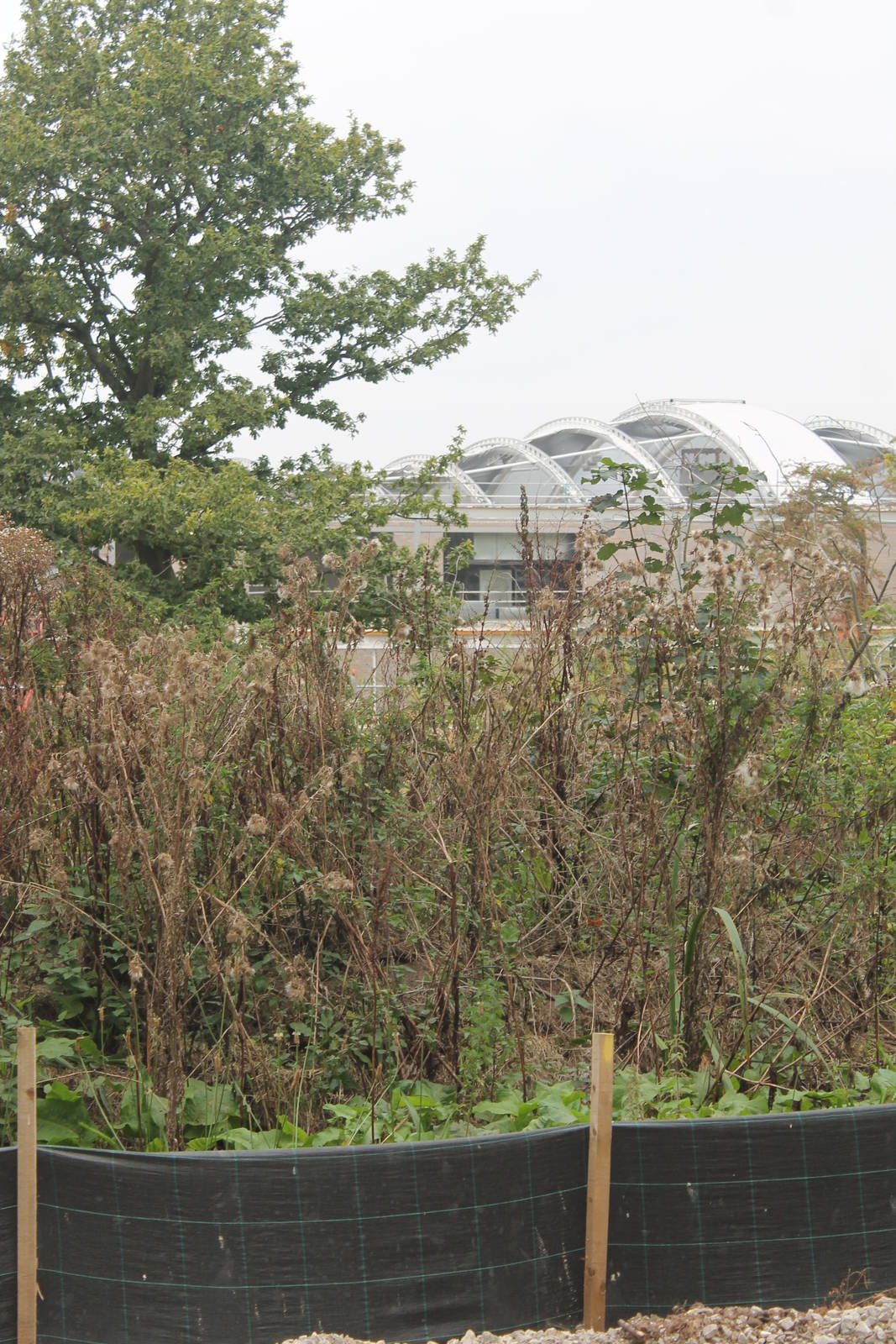 Chester Zoo, construction of Islands 13 September 2014