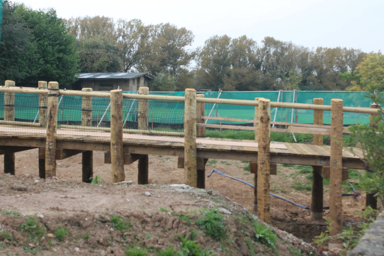 Chester Zoo, construction of Islands 13 September 2014