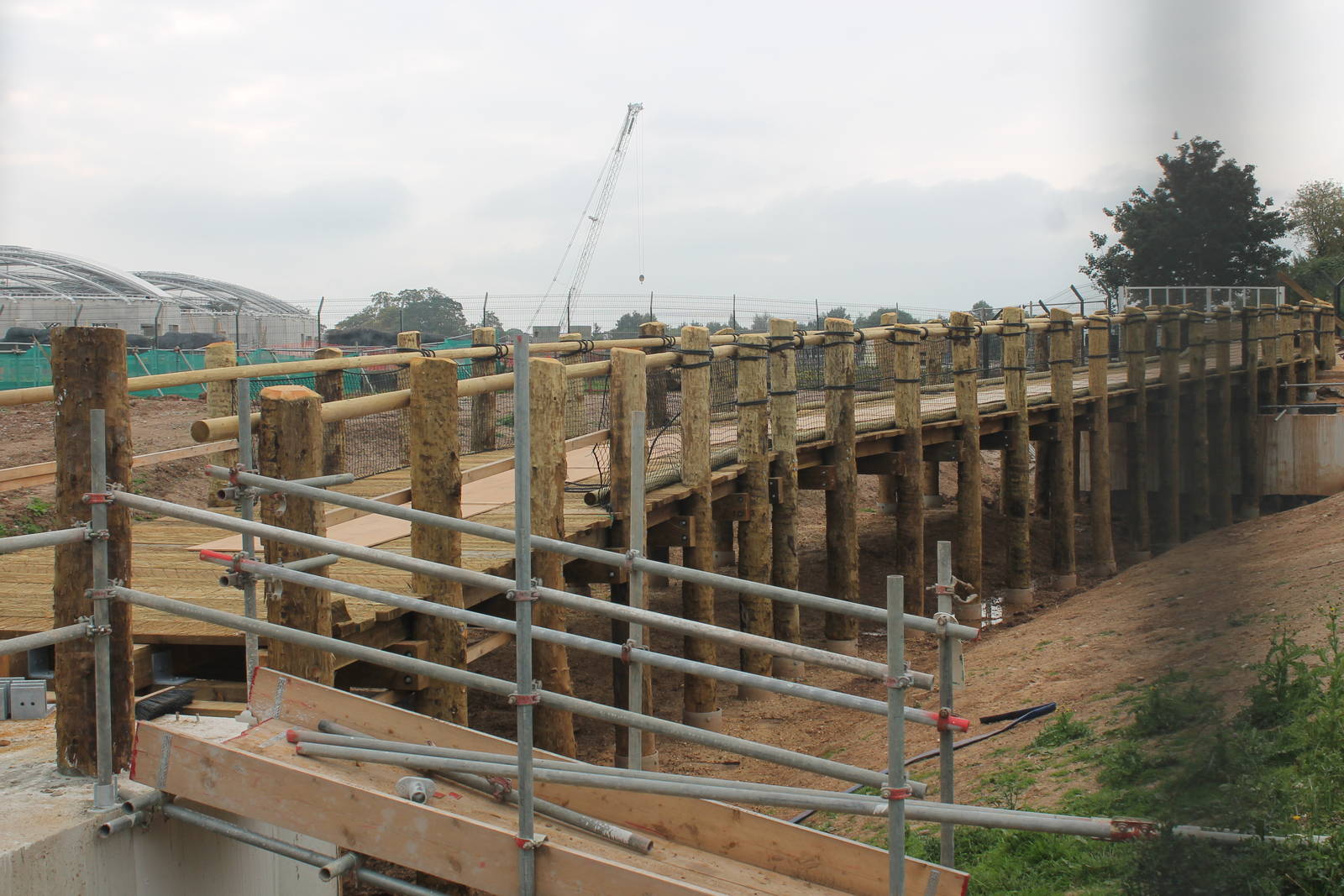 Chester Zoo, construction of Islands 13 September 2014