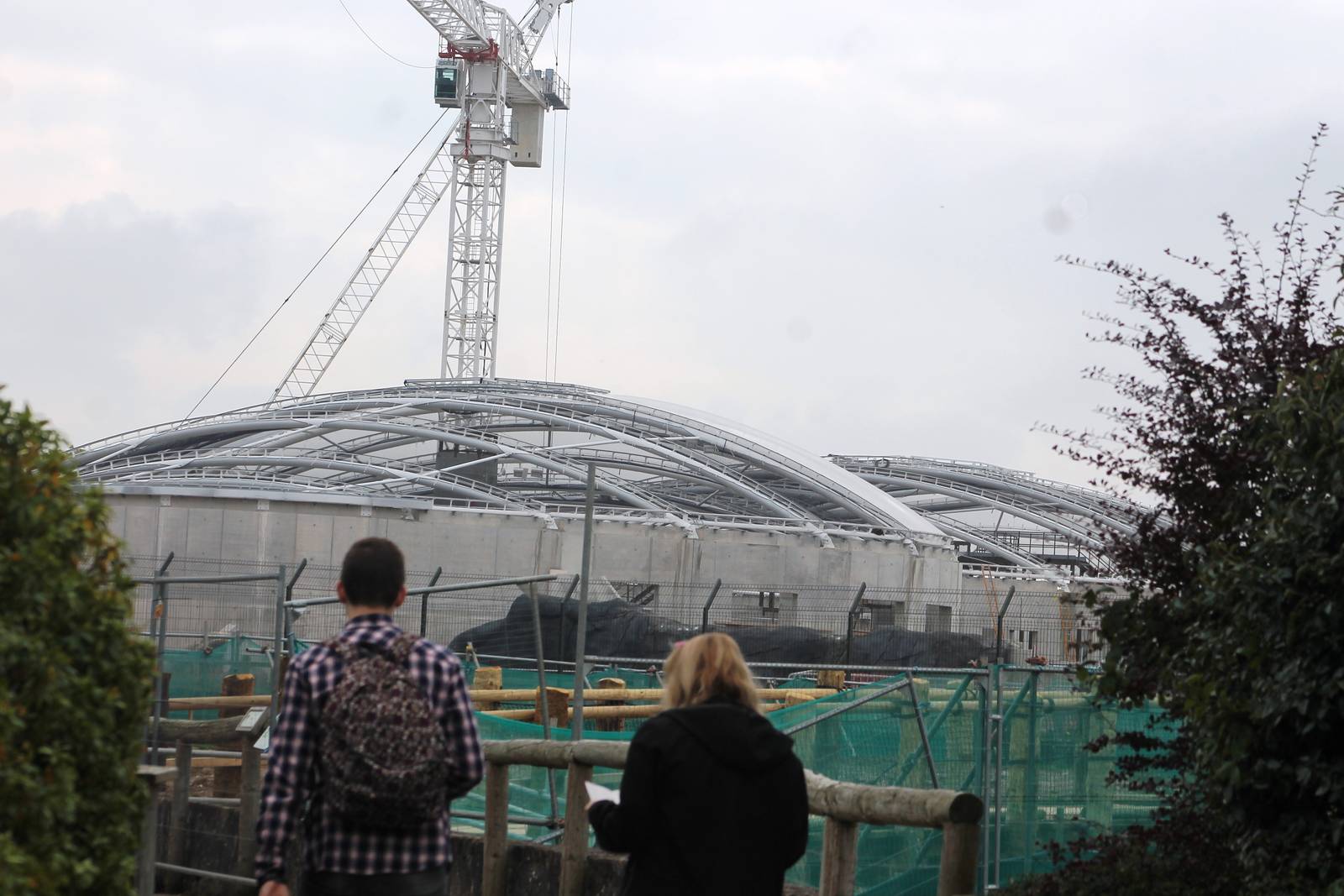Chester Zoo, construction of Islands 13 September 2014
