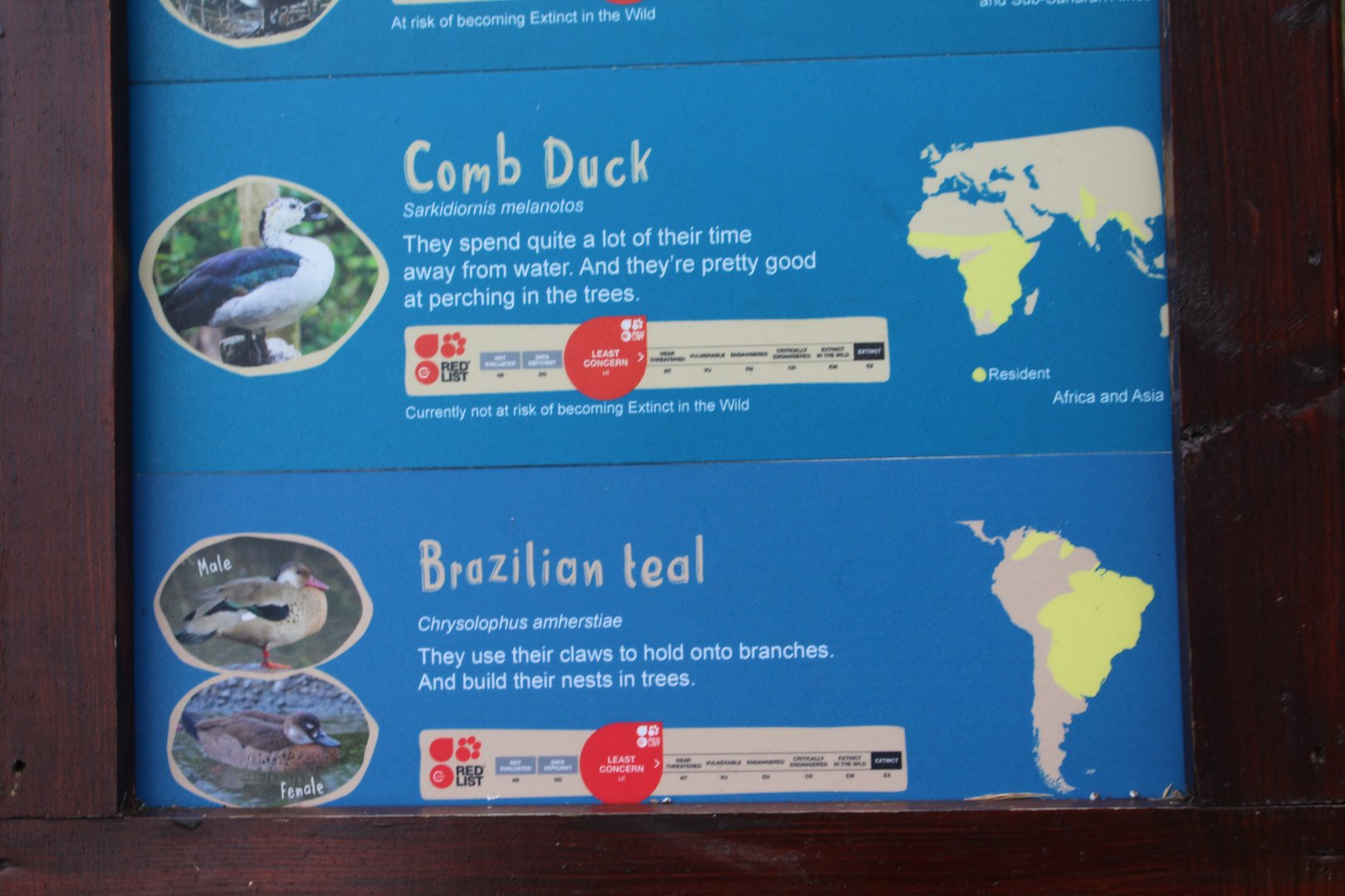 Chester Zoo duck rearing aviary labels