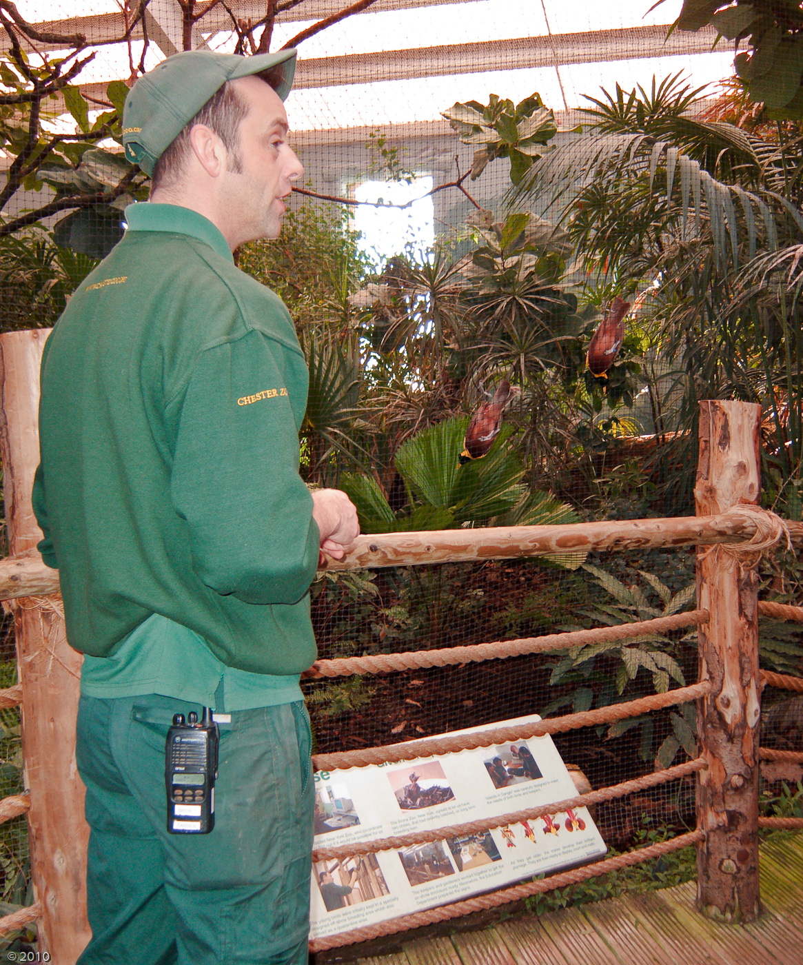 Chester Zoo Keeper Darren Langford and Red Birds of Paradise