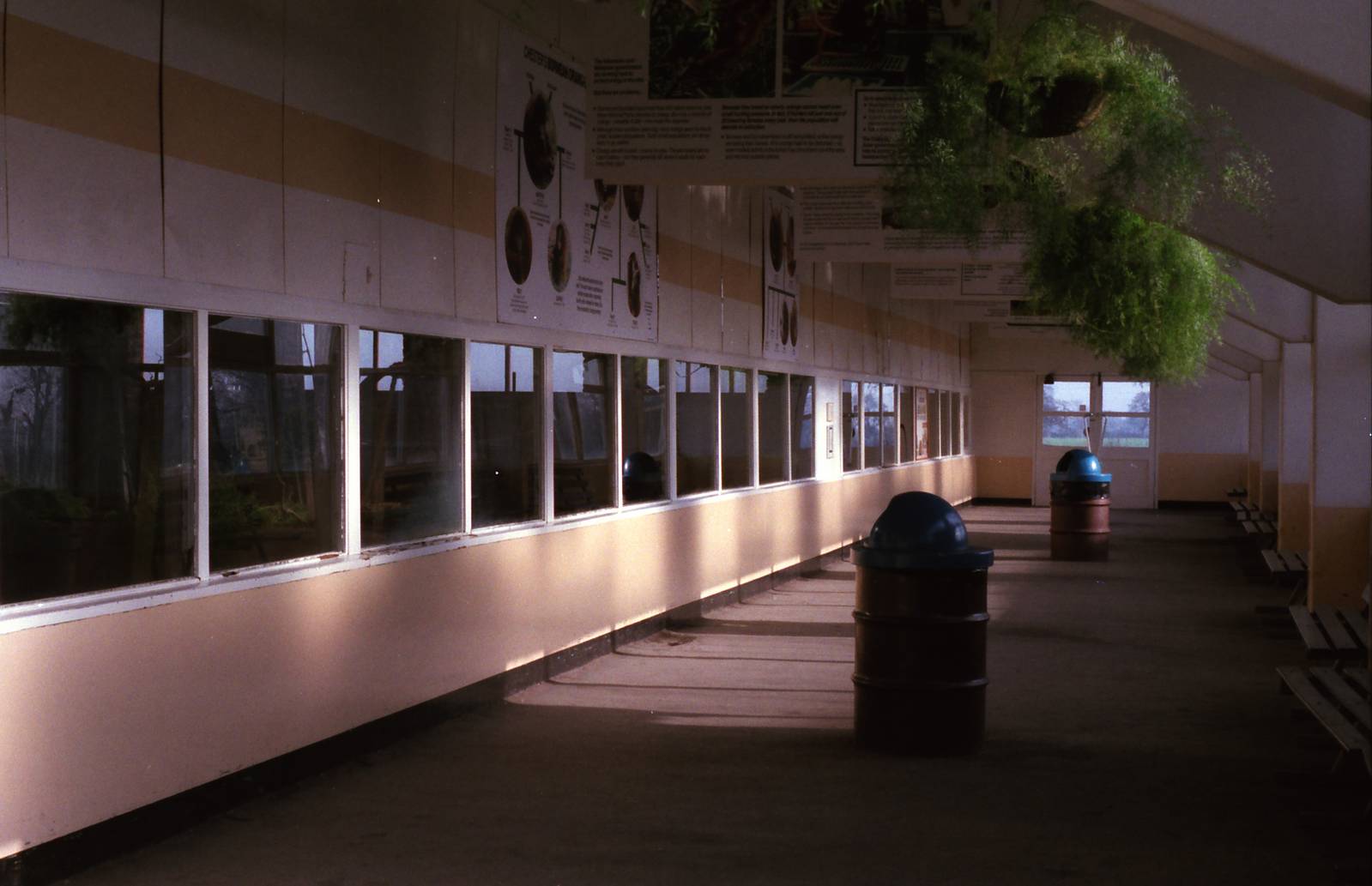 Chester Zoo Memories    Ape House Viewing Gallery March 1993