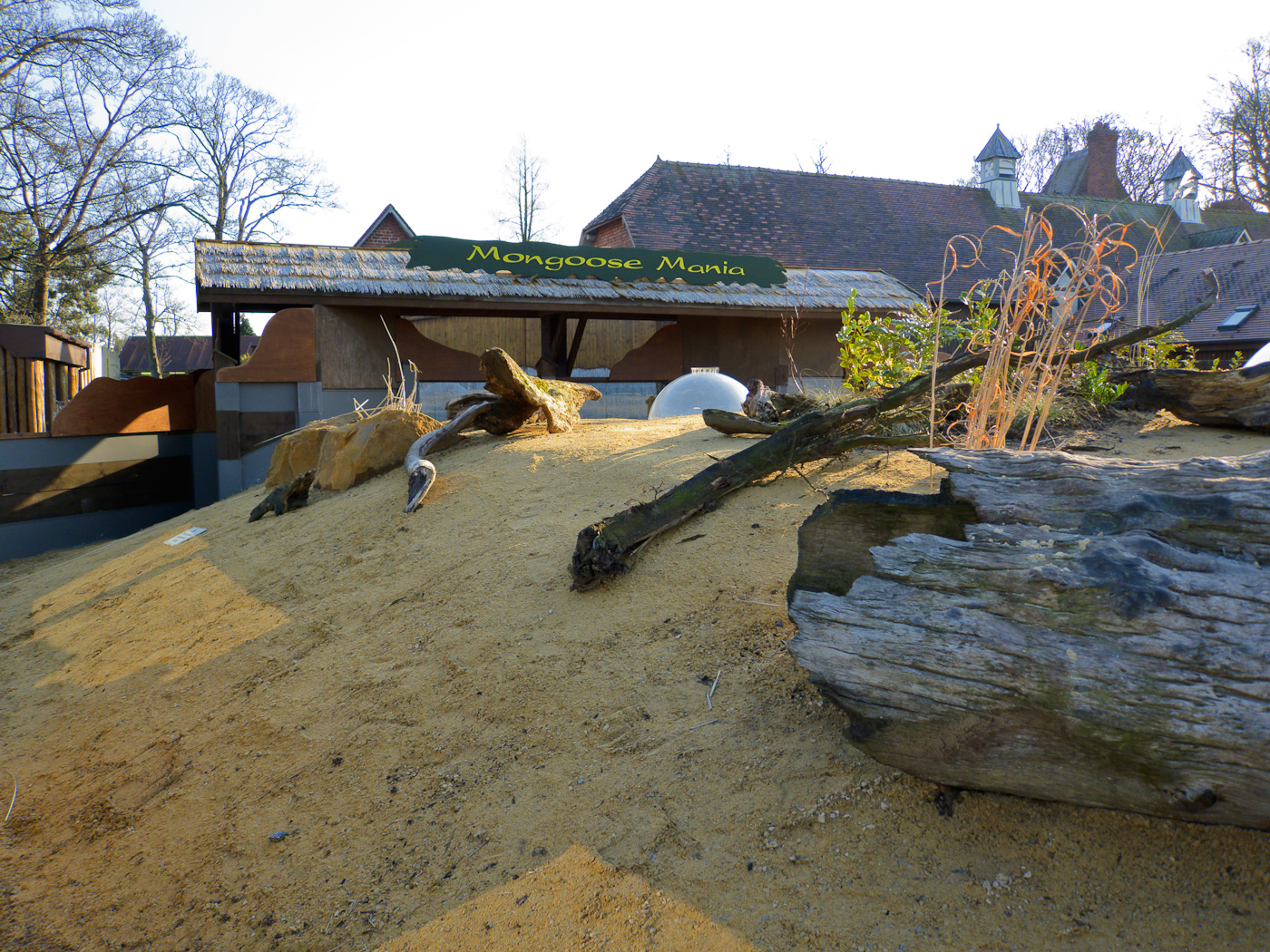 Chester Zoo Mongoose Mania - 04/03/2010